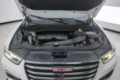 2019 Haval H6 2019 1.5T AT Red LabelChampion #10