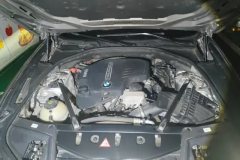 2016 BMW 5 Series 2017 2.0T AT 525LiLuxuryDesign Pkg #10