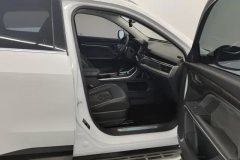 2022 Haval H6 2021 1.5T AT China tideChampion #8