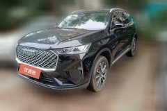 2023 Haval H6 2022 No.3generation 1.5T AT 2WDMax #1