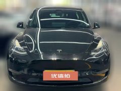 2021 Tesla Model Y 2021StandardBattery lifeRWDEdition #2