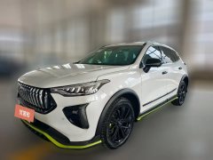 2021 Haval Chitu 2021 1.5T AT ProvokingEdition golden rabbit #1