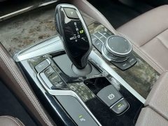 2019 BMW 5 Series 2019 2.0T AT 525Li MSport Pkg #8