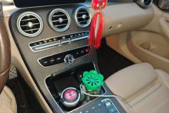 2019 Mercedes-Benz C-Class 2019 1.5T AT C260L #16