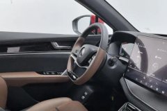 2022 BYD Tang PHEV 2021 2.0T AT DM4WDPerformancePremium #23