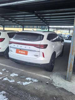 2022 Haval H6 2021 2.0T AT No.3generation4WDMax #9