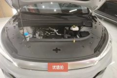 2024 BYD Yuan Plus 2024 Glory 430KM Surpass #10