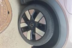 2022 BYD Dolphin 2021 401km knightEdition #6