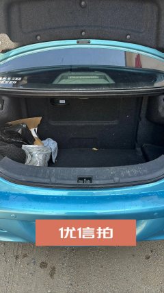 2015 BYD Qin EV 2015 1.5T AT double crownFlagship #12