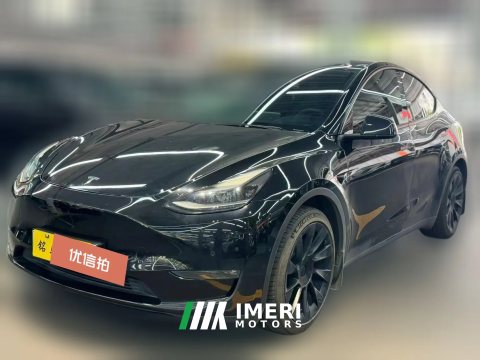 2021 Tesla Model Y 2021StandardBattery lifeRWDEdition