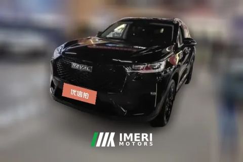 2021 Haval H6 2021 2.0T AT No.3generation2WDMax