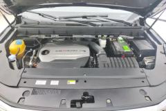 2019 GAC Trumpchi Trumpchi GS8 2017 2.0T AT 320T 2WDLuxurySmart Connect（7Seat） #10