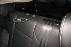 Left Rear Seat Headrest