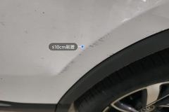 Left Rear Door