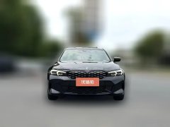 2024 BMW 3 Series 2024 2.0T AT 325Li MM Sport Shadow #2