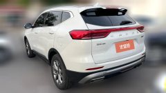 2021 Haval H6 2021 1.5T AT China tideChampion #7