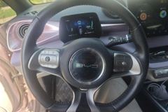2022 BYD Dolphin 2021 405km Fashion #15
