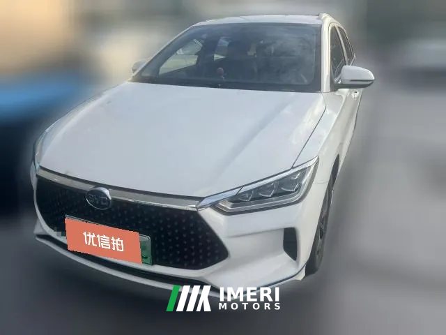 2021 BYD e2 2021 Luxury