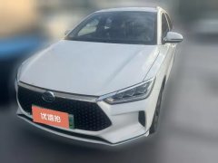 2021 BYD e2 2021 Luxury #1