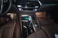 2021 BMW 5 Series 2021 2.0T AT 530LiLeadingLuxury Pkg #16