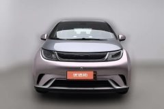 2022 BYD Dolphin 2021 405km Fashion #3