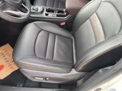 2018 Aion GE3 2018 530ConnectednetJoy EV #13