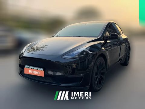 2021 Tesla Model Y 2021StandardBattery lifeRWDEdition