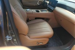 2025 Dongfeng Fengshen Dongfeng Fengshen L8 2025 185KMdreamEdition #8
