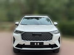 2025 Haval H6 2024 1.5T AT 2WDClassic #2