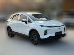 2022 Geometry E Firefly 2023 401KM Exquisite Tiger 5Seat #3