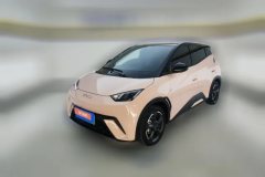 2024 BYD Seagull 2024 Glory 405KM flyEdition #1