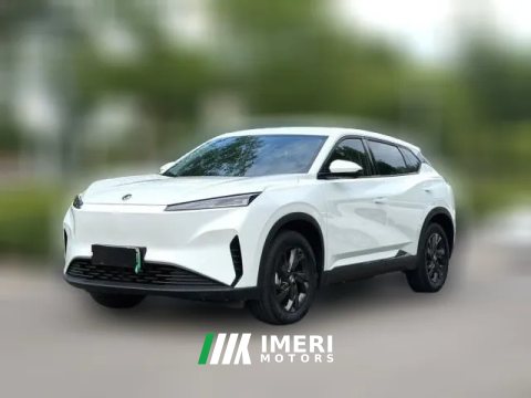 2024 Dongfeng Fengshen Dongfeng Fengshen SKY EV01 2024 445km PRO