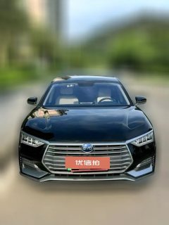 2022 BYD E9 2021 Business #2