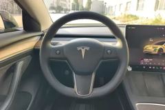 2022 Tesla Model 3 2022 rear wheel driveEdition #15