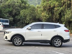 2022 Haval H6 2021 1.5T AT China tideChampionGDI #7