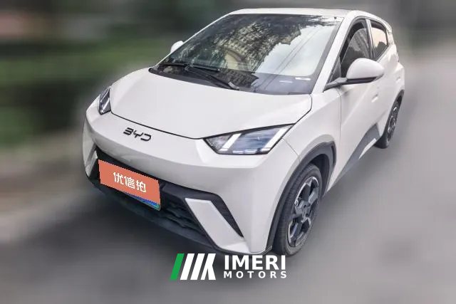 2024 BYD Seagull 2024 Glory 405KM flyEdition