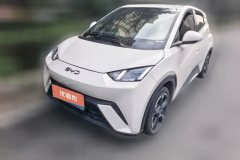 2024 BYD Seagull 2024 Glory 405KM flyEdition #1