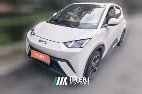 2024 BYD Seagull 2024 Glory 405KM flyEdition
