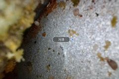 Right Front Carpet