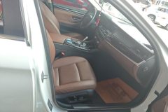 2015 BMW 5 Series 2014 2.0T AT 525LiLeading #8