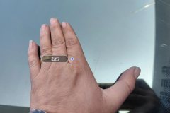 Windshield