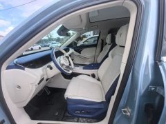 2021 Voyah Free 2021 4WDEREVstarterAnniversaryExclusiveLuxury Pkg #6