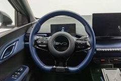 2024 BYD Seagull 2024 Glory 305KM freeEdition #15