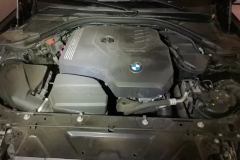 2023 BMW 3 Series 2023 325Li MM Sport Shadow #10