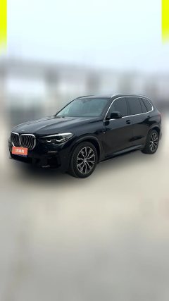 2020 BMW X5(Imported)(Imported) 2020 2.0T AT 30i MSport Pkg (Imported) #1