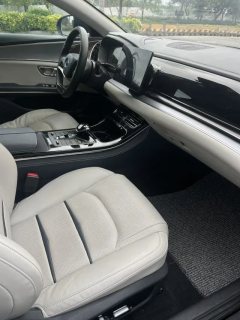 2021 BYD E9 2022 Business #5