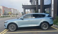 2022 Voyah Free 2021 4WDStandardEREVExclusiveLuxury Pkg #8