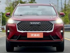 2021 Haval H6 2021 1.5T AT No.3generation2WDPro #12