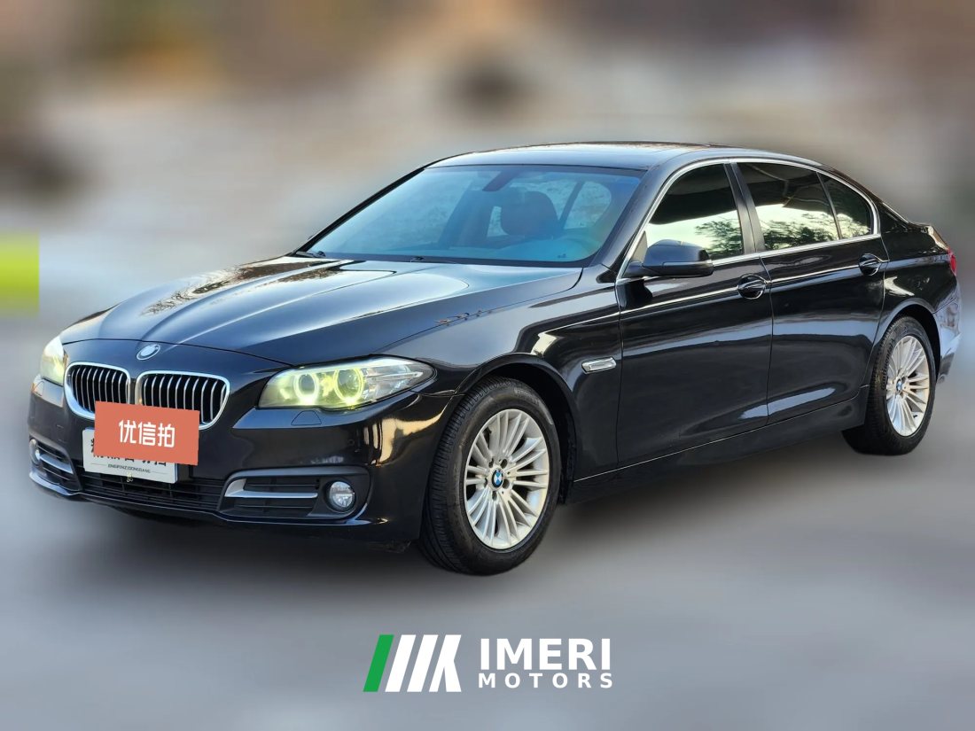 2015 BMW 5 Series 2014 2.0T AT 525LiLeading