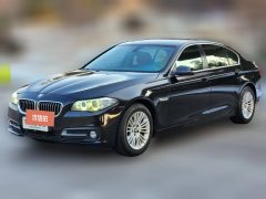 2015 BMW 5 Series 2014 2.0T AT 525LiLeading #1